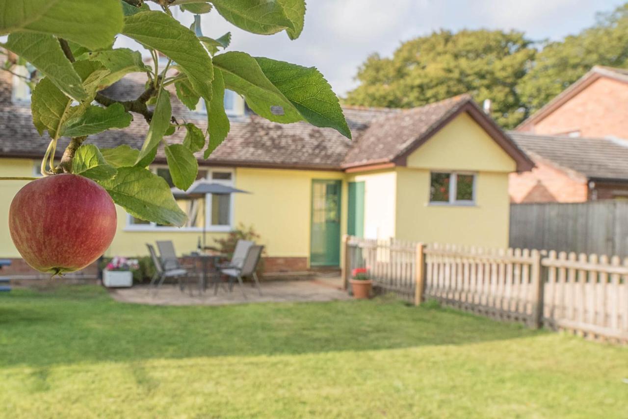 The Spinney Saxtead Nr Framlingham Woodbridge Extérieur photo